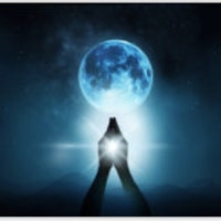 MoonCatTarot