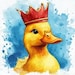 DutchessDuckling