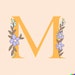 Marte B