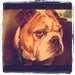 Buyer Avatar