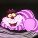 thecheshirekat avatar
