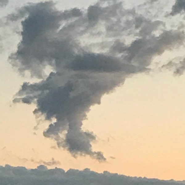 Gavel Costume Prop for Judge Costume Etsy