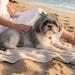 SunVDesigns