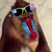FlyingSquirrelShirts