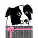 Giftseasonstore