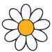 Daisygiftstoreco