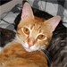 6littlelove avatar