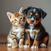 PixelPawsz