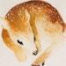 Buyer Avatar