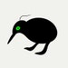 SubSpaceKiwi