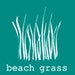 Beach Grass