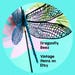 DragonflyBeez