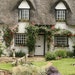 LilTeaberryCottage