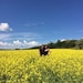 BrookswoodandCo