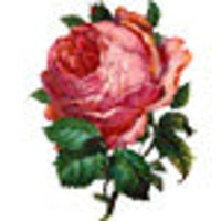 wreathedinblooms