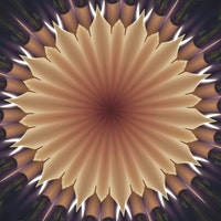 ConsciousAwearness ConsciousAwearness