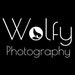 Wolfy Photography avatar