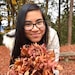 ACKYcrochetcreations
