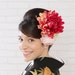 Ariane avatar