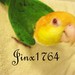 jinx1764 avatar