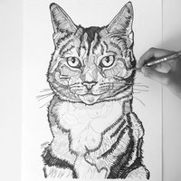 BetulSalmanArt