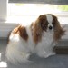 User photo