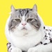 Minnie Lee avatar