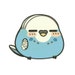 Buyer Avatar
