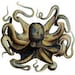 TheDustyTentacle