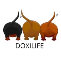 DoxieLife