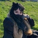 Buyer Avatar