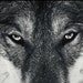 Chloe Watkins