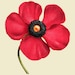Poppy Party