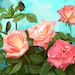sandiacrates