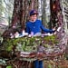 OldGrowthForests