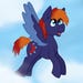 Buyer Avatar