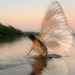 MyDearFairyStudio