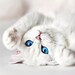Buyer Avatar