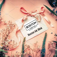BostonInkBlink