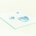 Olivia Gulin