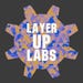 Layer Up Labs