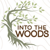 IntoTheWoods8