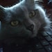 Buyer Avatar