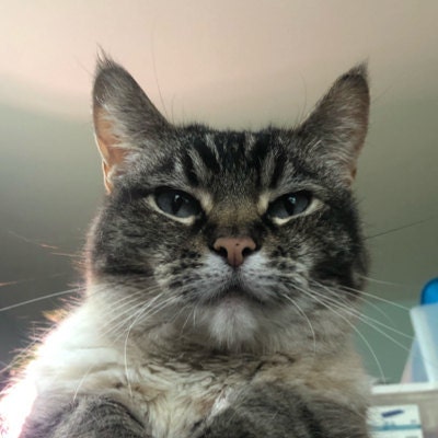 Aquariusdreamz - Etsy