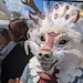 AkurahTheDragon