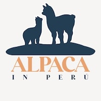 AlpacaInPeru