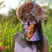 Nina D. Design