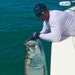 Thee Tarpon