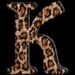 Buyer Avatar