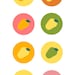 Buyer Avatar